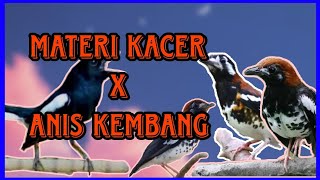 MATERI KACER X ANIS KEMBANG