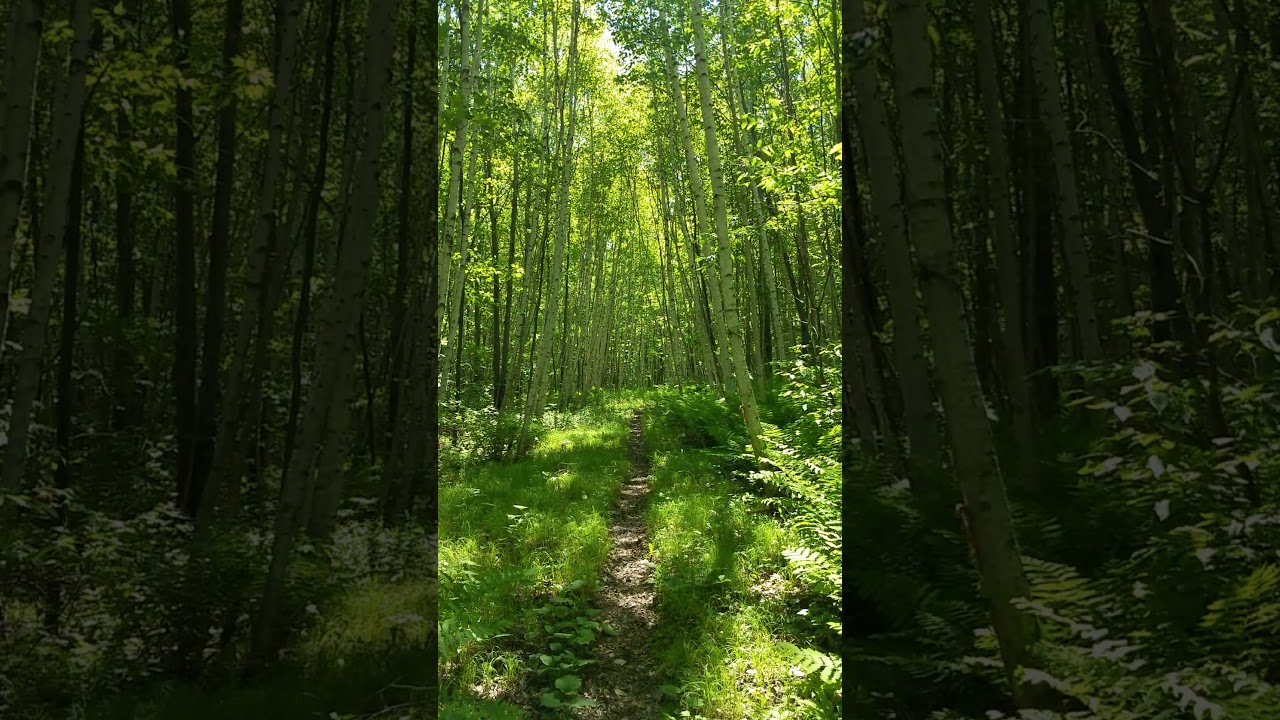 Ice Age Trail - Turtle Rock Segment 