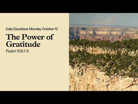 The Power of Gratitude - Daily Devotions