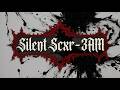 Silent Scxr - 3AM (video lyrics)