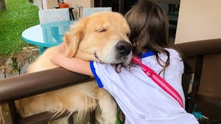 Nothing makes you happier than a dog's love ❤️ Animals Showing Love to Human
