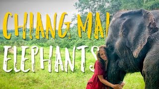 THAILAND ELEPHANT SANCTUARY | Chiang Mai