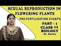 Sexual Reproduction In Flowering Plants Class 12 | Biology | Pre-fertilization Events | iWiz Sarika
