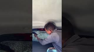 2025 Opel Mokka find the full review #follower #car window tinting Yassine sk4