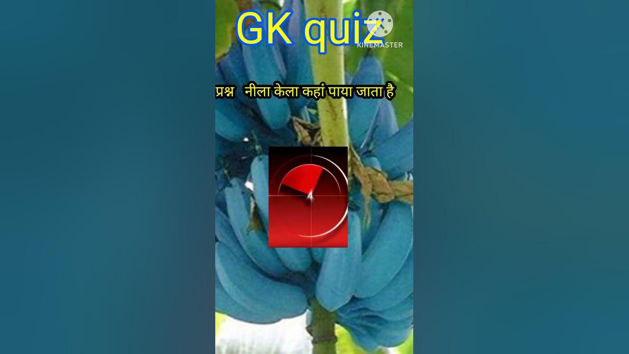 नीला केला कहां पाया जाता है ।। nila kela kaha paya jata hai ।। by Anup
