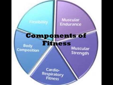 Components of Fitness