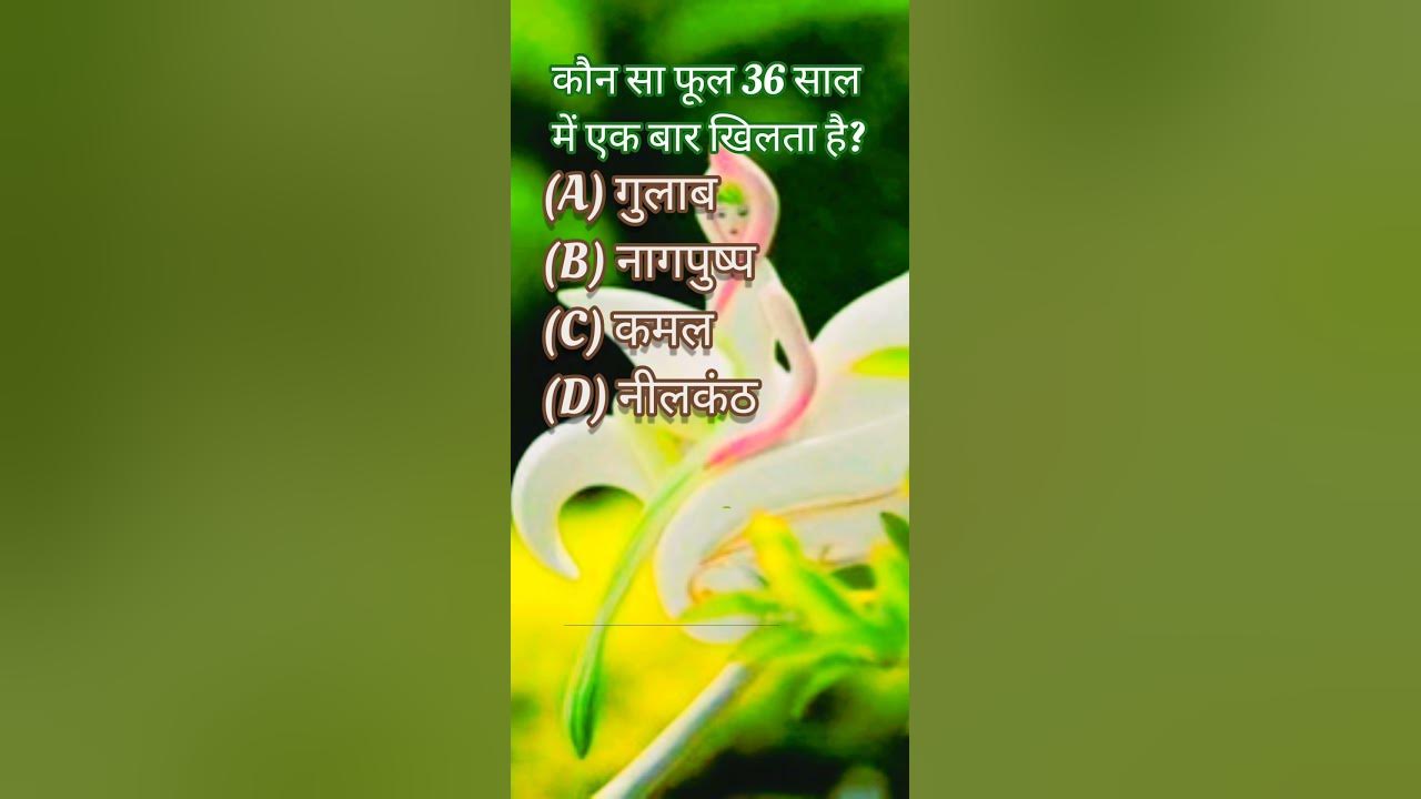 kaun-sa-phool-36-saal-mein-ek-baar-khilata-hai-which-flower-blooms