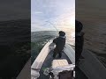 FLY FISHING FOR NJ STRIPED BASS #fish #fishboat #atlanticcity #flyfishing #njfallrun #fallstriperrun