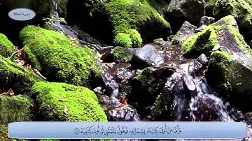 الشيخ محمود ابو سعدة - سورة الحاقة كاملة (حصريا) | Surah Al Haqqah