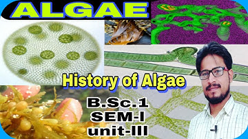 #algae lec.3(शैवाल ) History introduction|#Ashok sir | introduction of algae|#NEETTGTPGTGIC