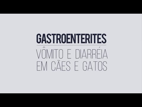 Vídeo: Infecção Por Vírus Intestinal (reovírus) Em Cães