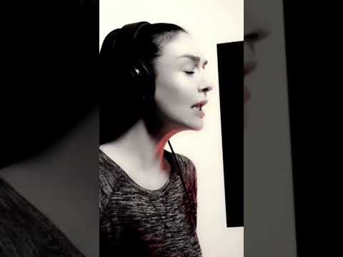 آهنگ حال وعضی این مملکت از بیخ خرابه