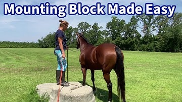 Teach Your Horse to Step to the Mounting Block | Nova’s First Lessons