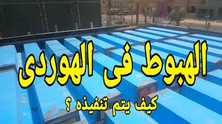 هبوط الحمام فى الهوردى 🏡