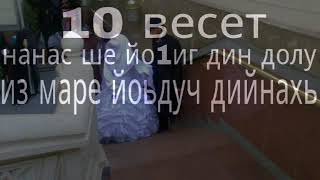 Насыхьа (Нанас ше йо1е дина весеташ -  из маре йоьдучу хенахь)