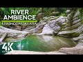 8 HOURS Gentle Songs of Birds on Mountain River ~ Calming Nature Soundscape - 4K UHD Video