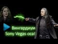 Лечим чёрный экран предпросмотра в Sony Vegas (редкий способ)