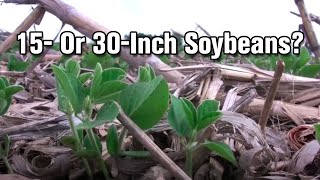 15- Or 30-Inch Soybeans? Cameron Mills, Walton, Ind.