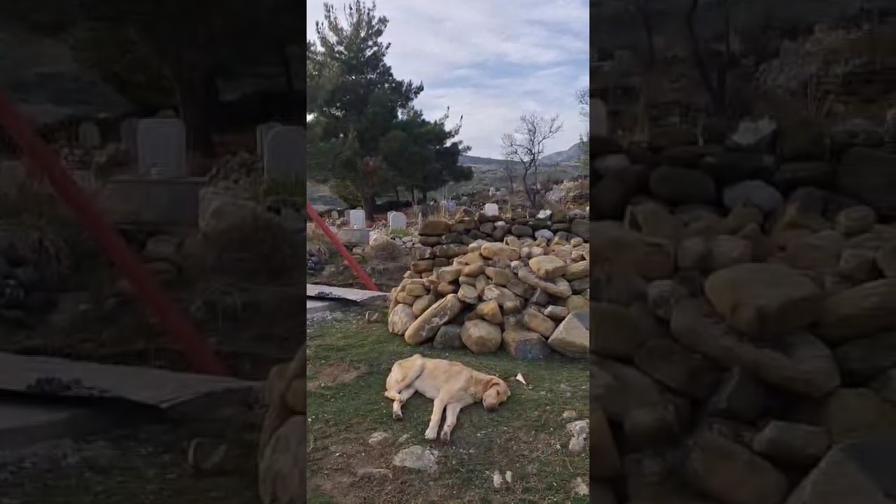 Köyümüzde bahar hazırlığı devam ediyor 