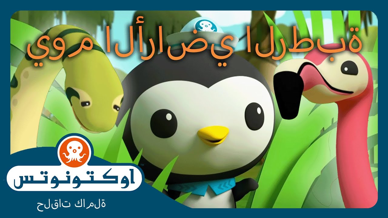 أوكتونوتس | 🌍 اليوم العالمي للأراضي الرطبة 🦛 | حلقات مجمعة