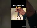 العقرب العربى الاسود الخطير العقرب الهندى الاحمر القاتل الصراع الصراع من أجل البقاء الموسم الاول 