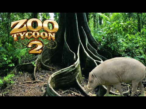 【新品】ズータイクーン 2 Amazon | Zoo Tycoon II (輸入版) | ニンテンドーDS