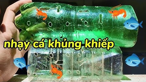 Hướng Dẫn Làm Lợp Bắt Cá Bằng Chai Nhựa || Siêu Nhạy Cá Và Ăn Không Hết