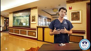 Xeroform Wound Dressing Explanation