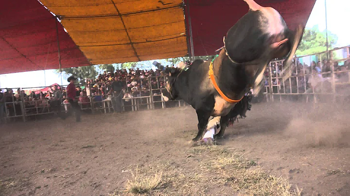 DESTRUCTORES LEON DE ORO VS CHANONI DE STA MARIA 4...