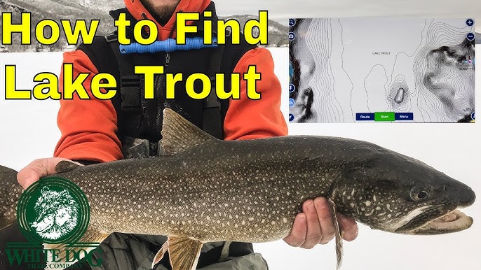 Hook Size for Lake Trout & Salmon Ice Fishing 