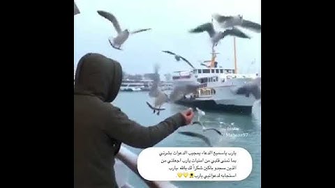 اجمل حالات واتس اب قرأن......القارئ اسلام صبحي#تلاوة هادئة #أرح قلبك♡