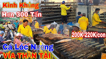 Ngày Vía Thần Tài Mùng 10 Tết 2024 Cá Lóc Nướng Mía 200K 220k bà con đổ xô mua kẹt xe cả con đường