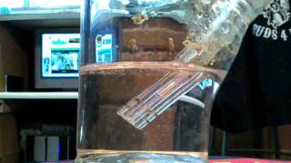 Dabtube fatty