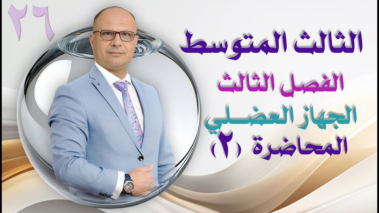 الثالث المتوسط الفصل الثالث الجهاز العضلي م 2