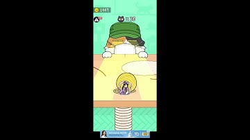 Playing Hide And Seek Cat Escape Live 🔴