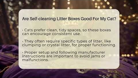 Are Self-cleaning Litter Boxes Good For My Cat? - Happy Cat Handbook