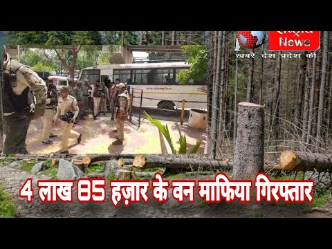 4 लाख 85 हज़ार के ईनामी वन माफ़ियाओं को नेपानगर पुलिस ने किया गिरफ़्तार