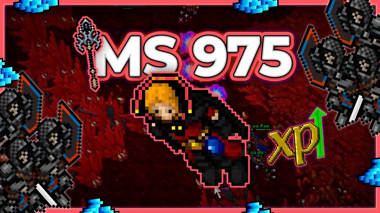 MS 975 Hunt Solo Falcon Bastion 6kk/h Raw + 2.1kk Profit - Tibia Hunt [13.40] 