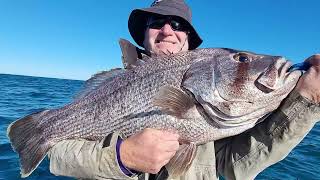 Hamachi Micro Jig SPJ Slow Pitch Jig rods in action Dhufish Snapper Mackerel Kingfish Spinner Sharks