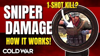 Как работает снайперский урон в Black Ops Cold War | Поломка ствола Tundra Pelington M82 Tiger Team