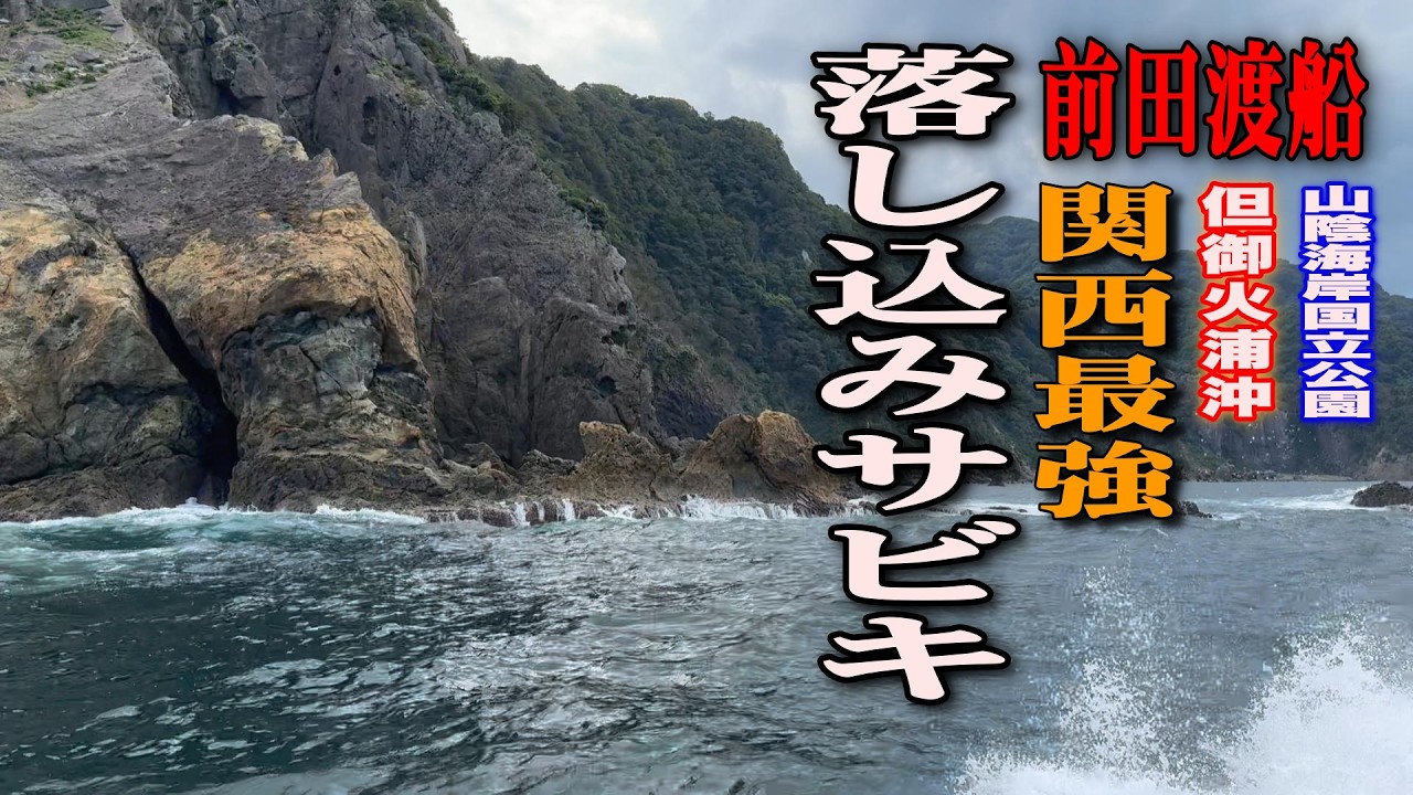 《兵庫県・前田渡船》【メーター越えのヒラマサを狙え！】ここが関西最強落とし込み釣りポイント！山陰・但馬沖の落とし込みだ！2024 9 30落とし込み・立て釣り