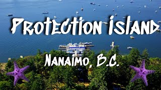 Protection Island || Pubs, Chowder, and Starfish || Things to do In Nanaimo, BC, Vancouver Island
