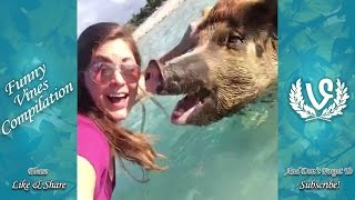 Try Not To Laugh or Grin | Funny Animals Vines Compilation 2017 | Funny Animals Doing Stupid Things