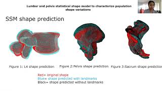Statistical shape model of lumbar vertebrae, pelvis and sacrum