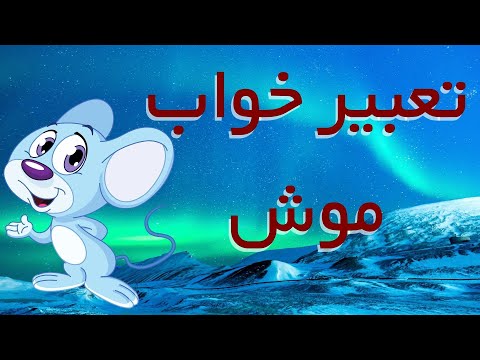 تعبیر خواب موش تعبیر خواب موش در خانه در رختخواب گرفتن موش سوراخ موش موش در روی لباس