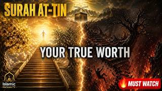Why Was Surah At-Tin (The Fig) Revealed? | You Are More Valuable Than You Think