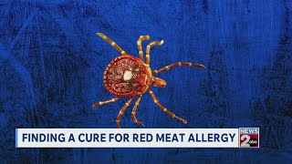 Finding a cure for red meat allergies caused by Alpha-gal syndrome