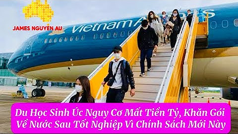 Hoạch toán nước tẩy giáy vệ sinh vào tài khảon