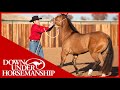 Clinton Anderson: Correcting Mouthy Horses - Downunder Horsemanship