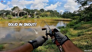 EXP BELACAN Softplastic | Field Test Teknik Celup  - #v179 screenshot 5